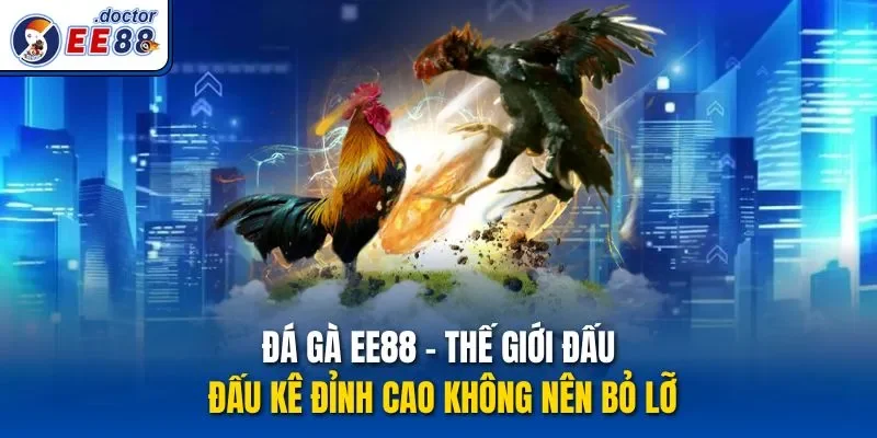 Đá Gà Ee88 – Thế Giới Đấu Đấu Kê Đỉnh Cao Không Nên Bỏ Lỡ